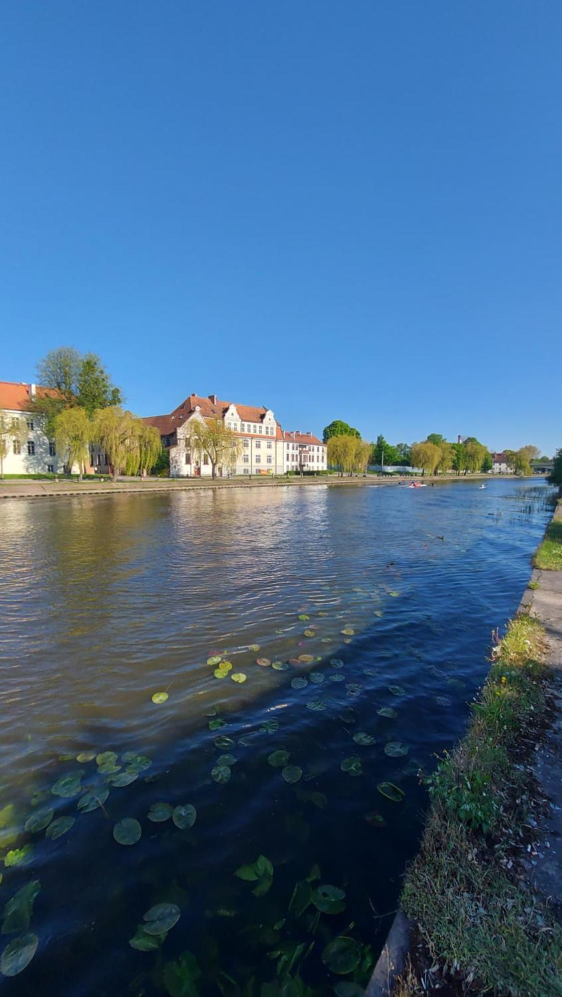 Stare Miasto Kwiaty Elblag Exteriör bild